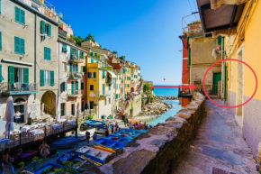 La casetta delle barche